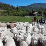 Venez visiter notre ferme cet été