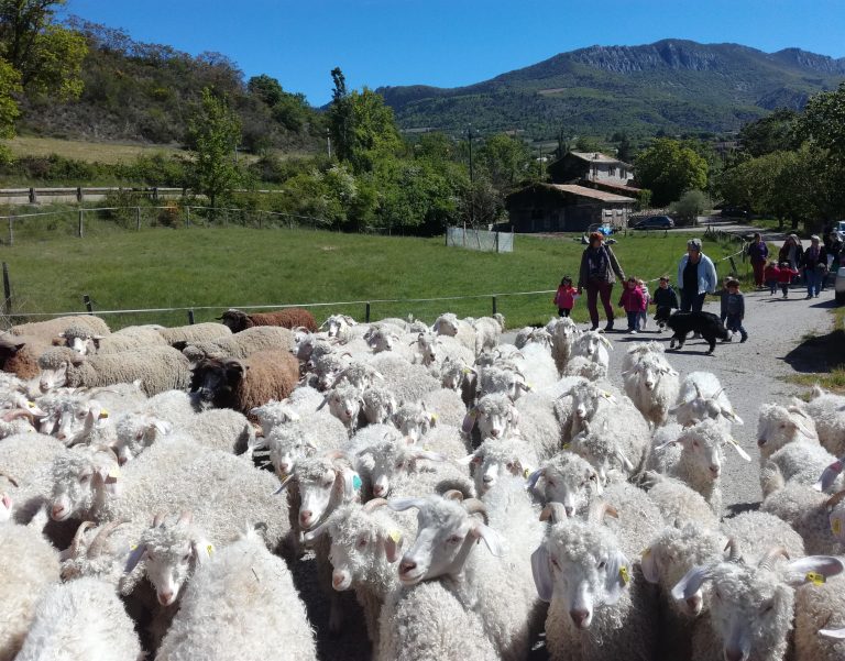 Venez visiter notre ferme cet été